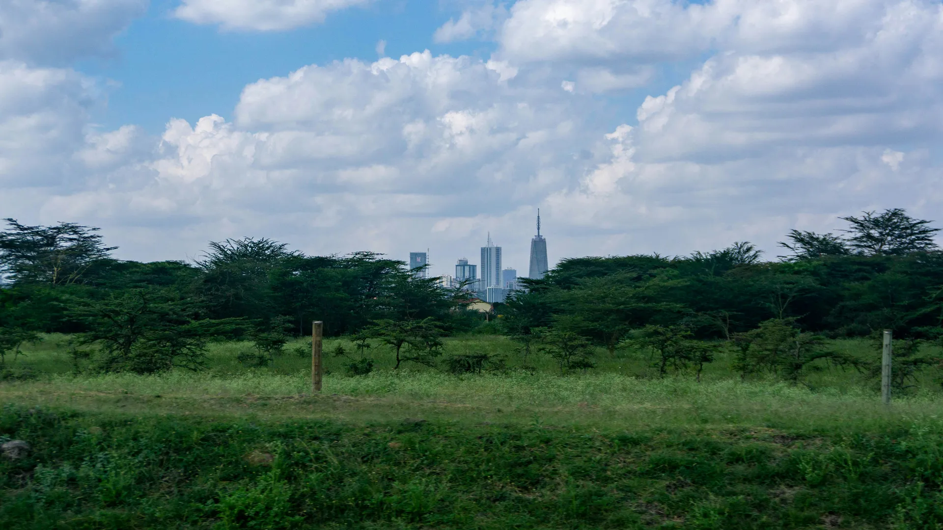 Nairobi cityscape from Nairobi National Park